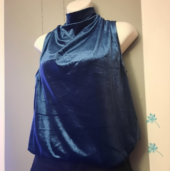 Velvet Sleeveless top - Picture 4 of 5